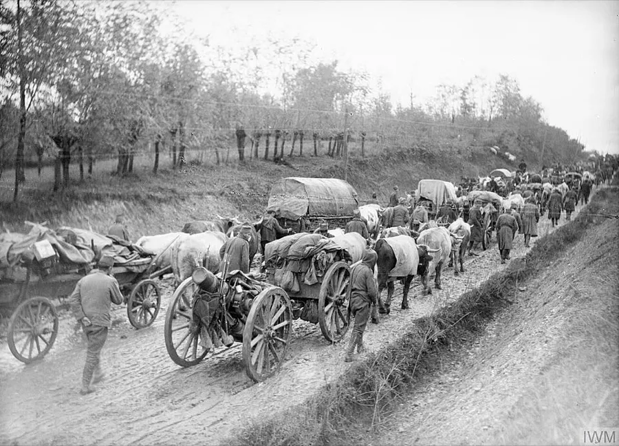 Ox drawn transport and artillery of the Serbian Army during its retreat to Albania.