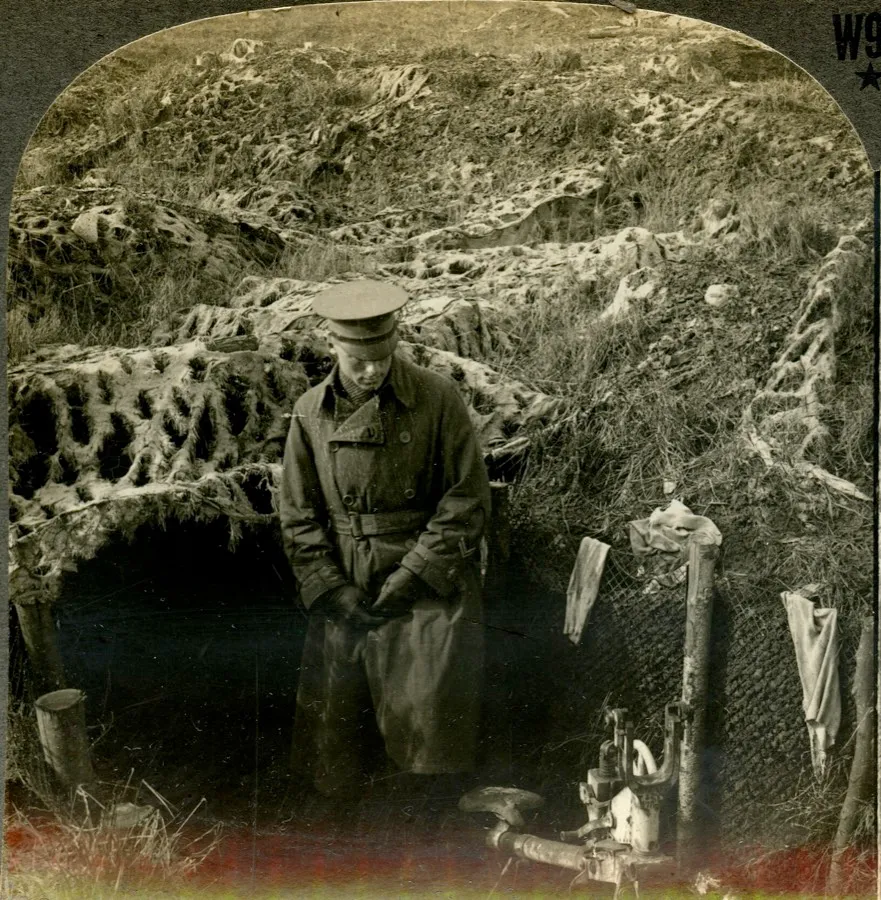 Horizontal, sepia stereocard showing uniformed man standing in a trench that is covered in camouflaged netting.